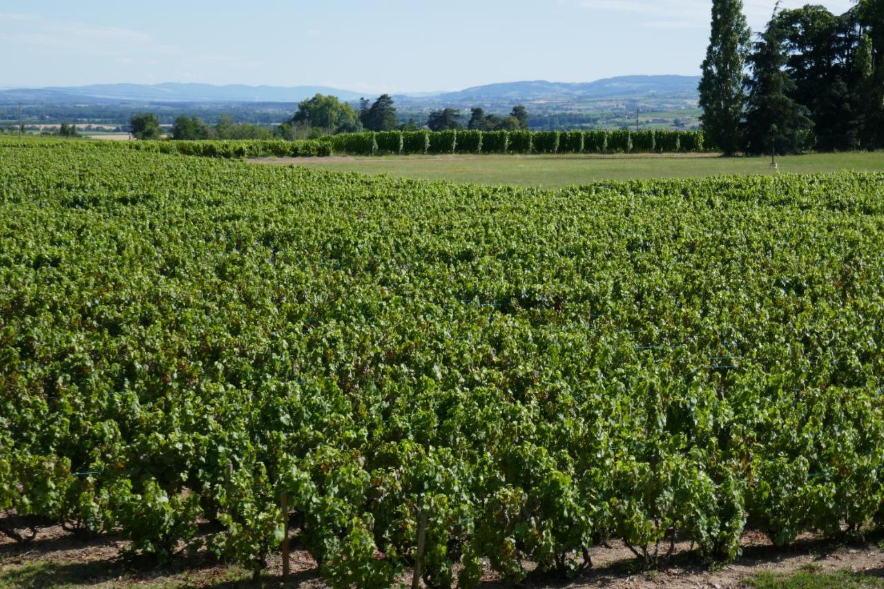 Le Bel Air De Saint Jean Bed & Breakfast Belleville-en-Beaujolais Exterior foto